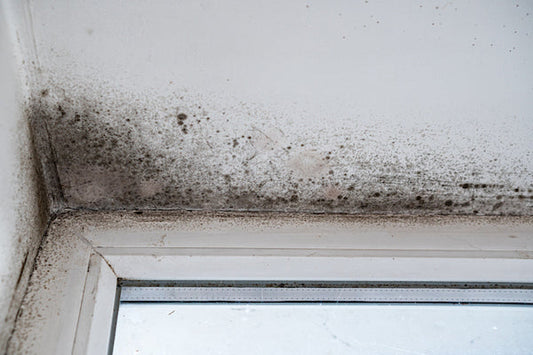 Black mould growing around a window frame needing professional mould removal and cleaning